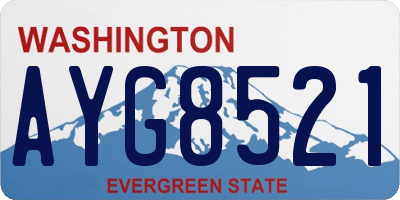WA license plate AYG8521