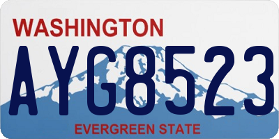 WA license plate AYG8523