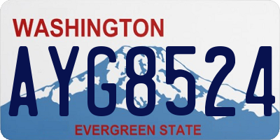 WA license plate AYG8524
