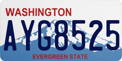 WA license plate AYG8525