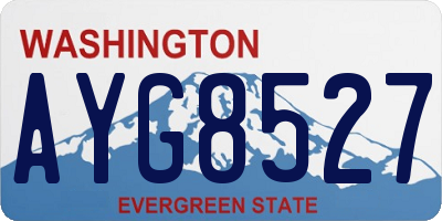 WA license plate AYG8527