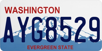 WA license plate AYG8529