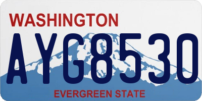 WA license plate AYG8530