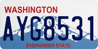 WA license plate AYG8531
