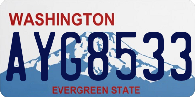 WA license plate AYG8533