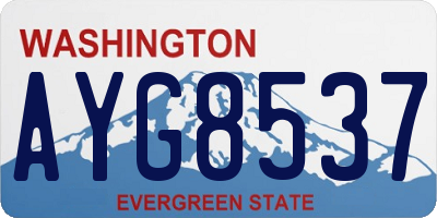 WA license plate AYG8537