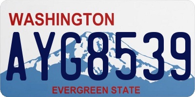 WA license plate AYG8539