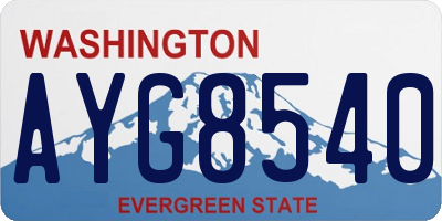 WA license plate AYG8540