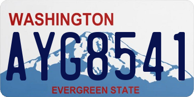 WA license plate AYG8541