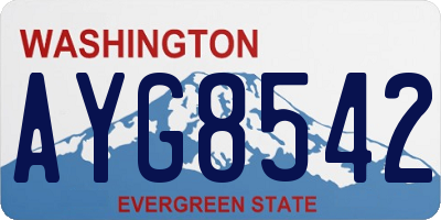 WA license plate AYG8542