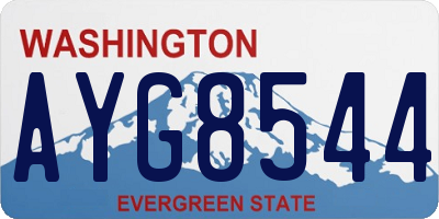 WA license plate AYG8544
