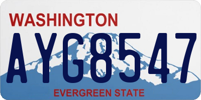 WA license plate AYG8547