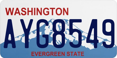 WA license plate AYG8549