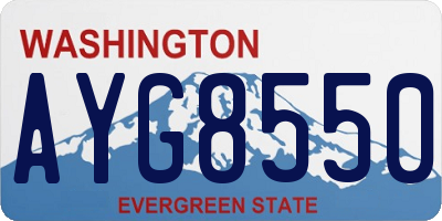WA license plate AYG8550