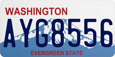 WA license plate AYG8556