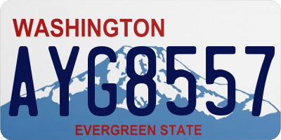 WA license plate AYG8557