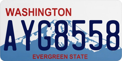WA license plate AYG8558