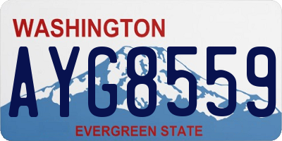 WA license plate AYG8559