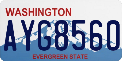 WA license plate AYG8560