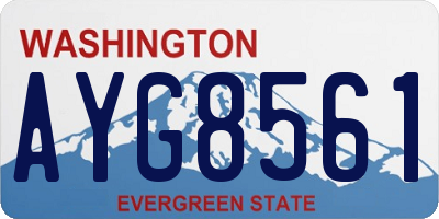 WA license plate AYG8561