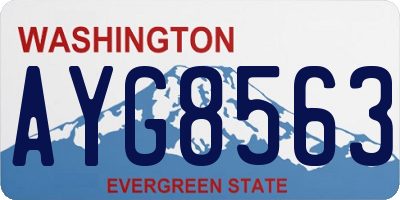 WA license plate AYG8563