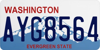 WA license plate AYG8564