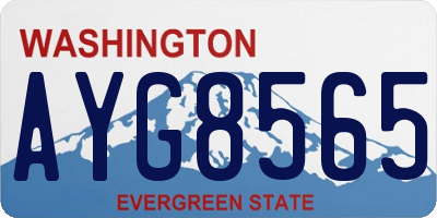 WA license plate AYG8565