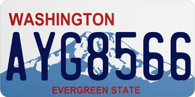 WA license plate AYG8566