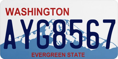 WA license plate AYG8567