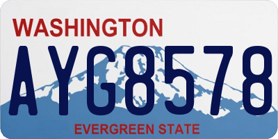 WA license plate AYG8578