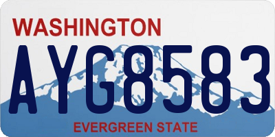 WA license plate AYG8583