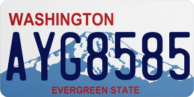 WA license plate AYG8585