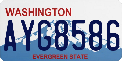 WA license plate AYG8586