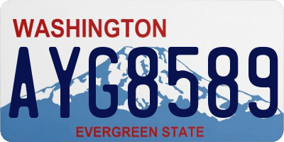 WA license plate AYG8589
