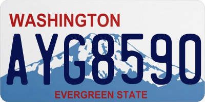 WA license plate AYG8590