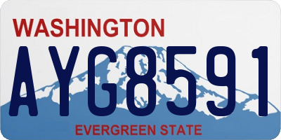 WA license plate AYG8591