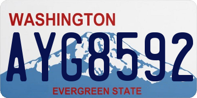 WA license plate AYG8592