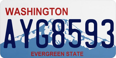 WA license plate AYG8593
