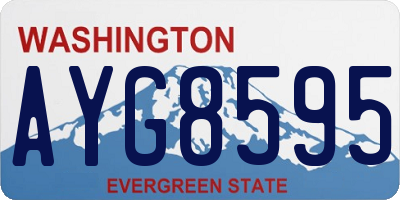 WA license plate AYG8595