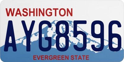 WA license plate AYG8596