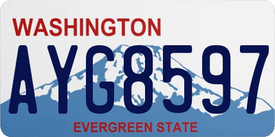 WA license plate AYG8597