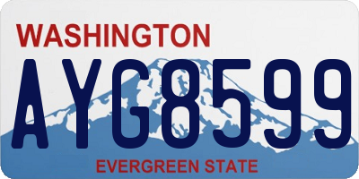 WA license plate AYG8599