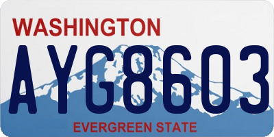 WA license plate AYG8603