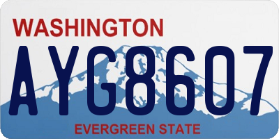 WA license plate AYG8607