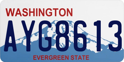 WA license plate AYG8613