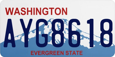 WA license plate AYG8618