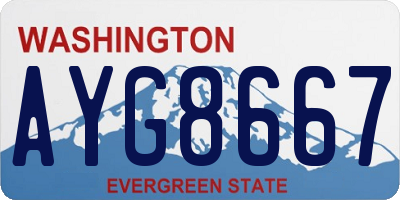 WA license plate AYG8667