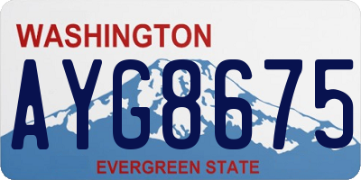 WA license plate AYG8675