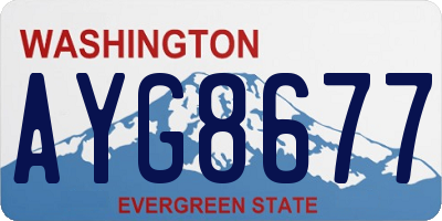WA license plate AYG8677