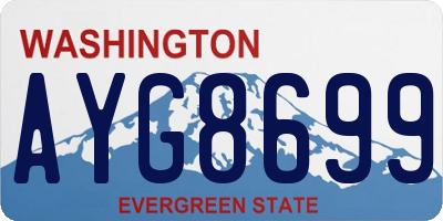 WA license plate AYG8699